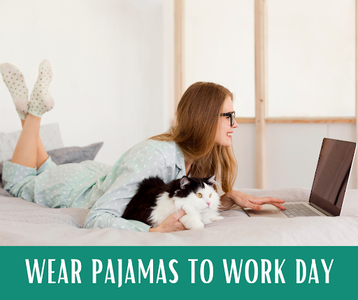 Pet Supply Store «Grrs & Purrs», reviews and photos, 116 N Woodland Blvd, DeLand, FL 32720, USA