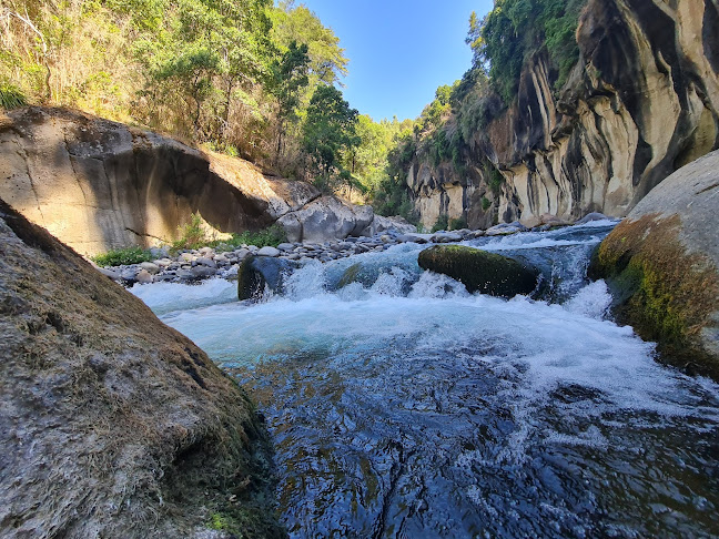 Camping El Arriero.