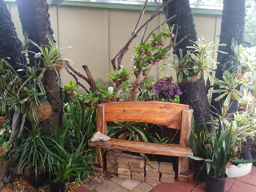 Florist «Thai-Rific Orchids Inc», reviews and photos, 5313 Gulfport Blvd S, Gulfport, FL 33707, USA