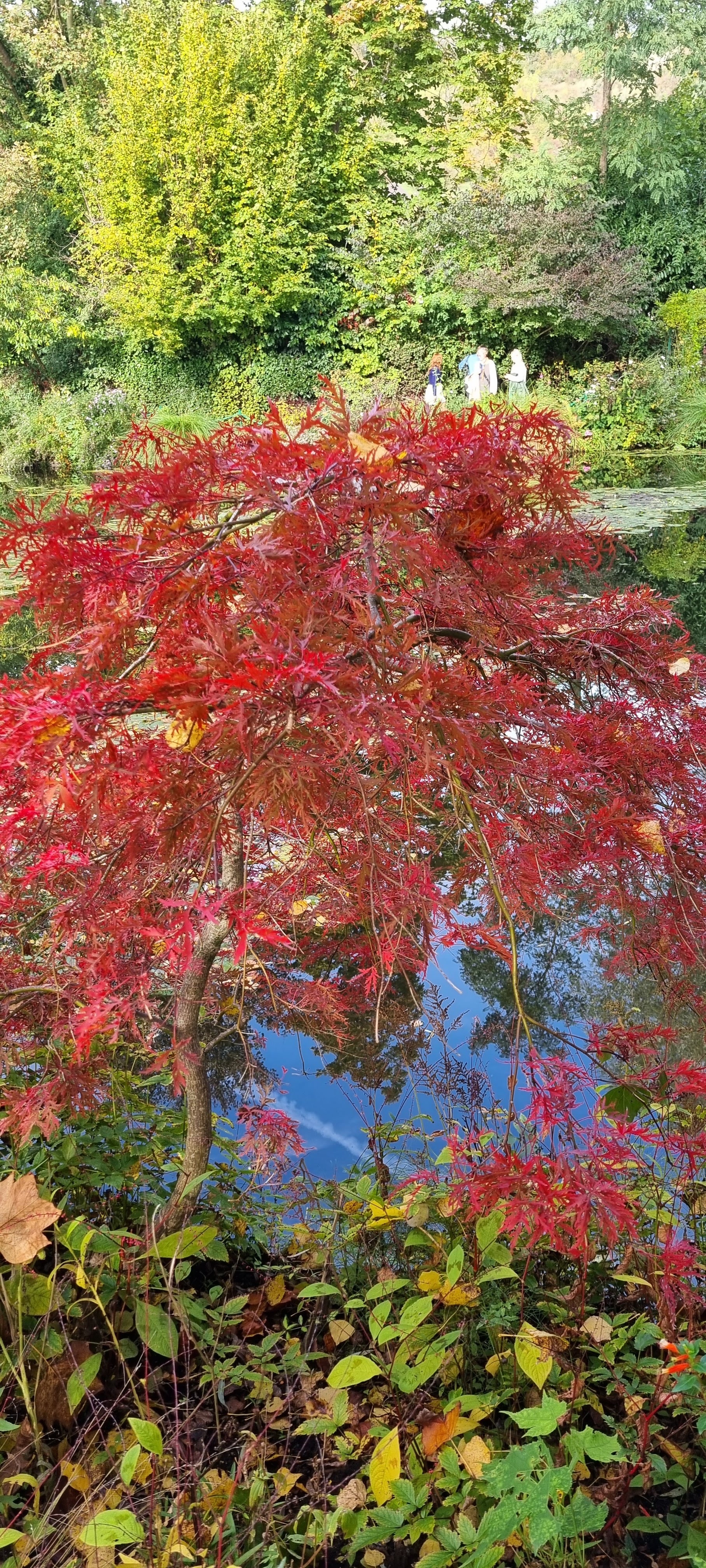 Photo n° 15 de l'avis de lemagicien40. fait le 03/11/2023 à 07:28
