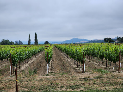 Riverfront Regional Park image