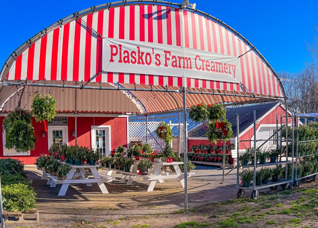 Plasko's Farm Creamery & Cafe 06611