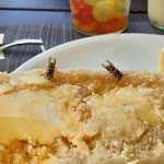 Photo n°3 de l'avis de Ute.e fait le 07/09/2020 à 06:09 sur le  Lindencafe GmbH à Bestensee