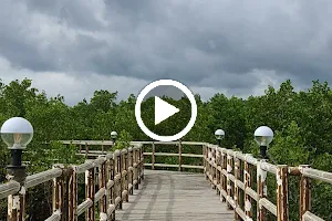 Mangrove Forest Park image