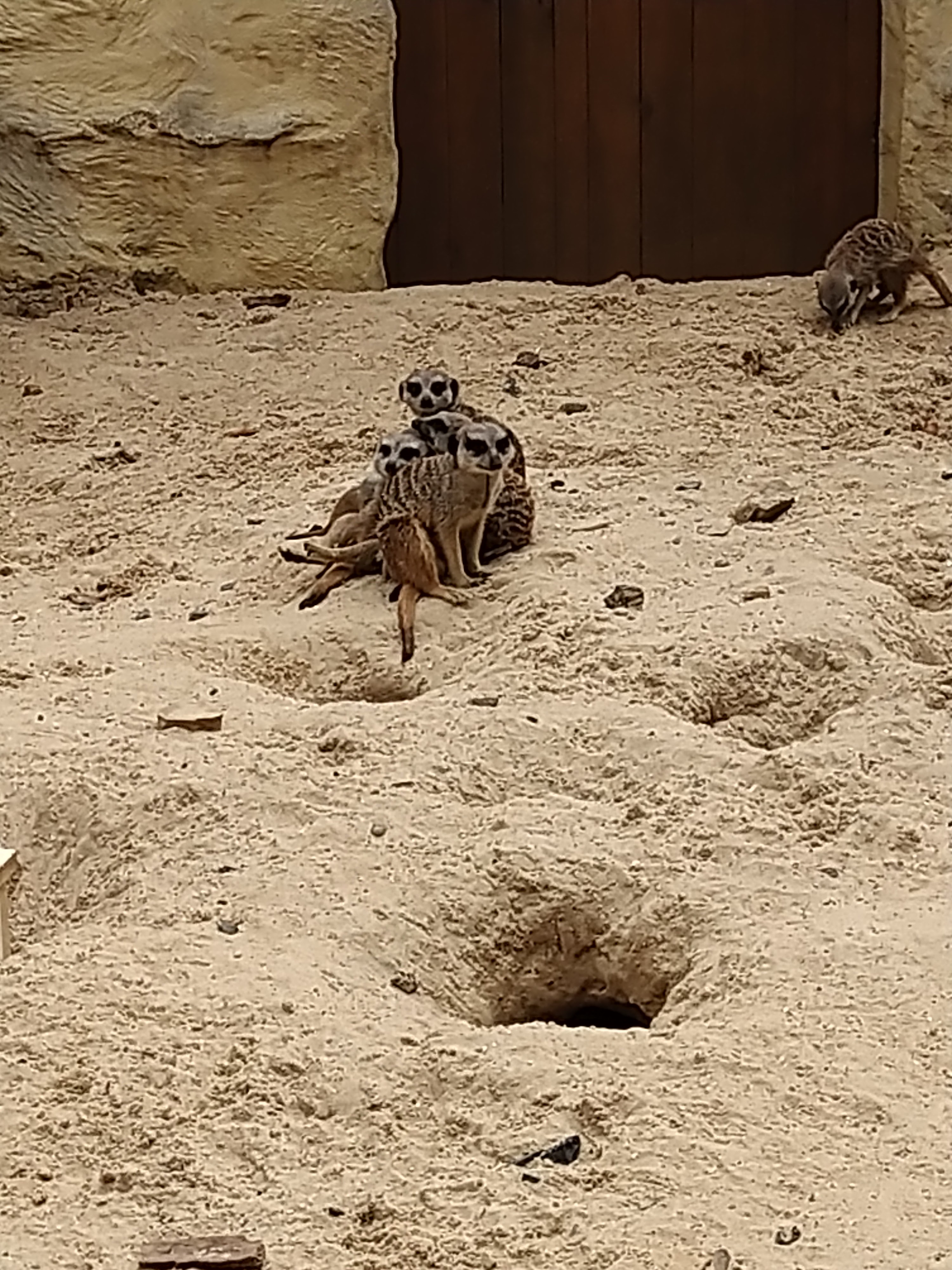 Photo n° 4 de l'avis de HardLoSeDa. fait le 15/08/2019 à 14:36