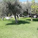 Photo n°17 de l'avis de Biagio.e fait le 22/11/2016 à 13:56 sur le  Agriturismo Villa Cefalà à Santa Flavia