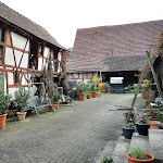 Photo n°3 de l'avis de Chiliette. fait le 05/10/2021 à 16:39 sur le  Weinstube Zehnthof à Geldersheim