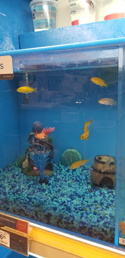 Pet Supply Store «PetSmart», reviews and photos, 16760 Highlands Center Blvd, Bristol, VA 24202, USA