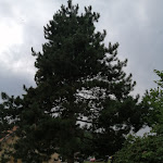 Photo n°8 de l'avis de Henry.e fait le 25/07/2021 à 15:56 sur le  Hotel und Gasthaus Zum weißen Mönch à Blankenburg