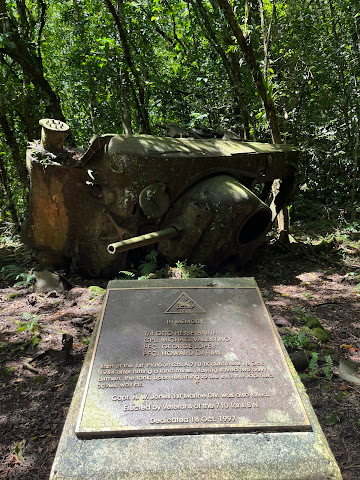 Dolphin Bay Resort & Peleliu Divers by null