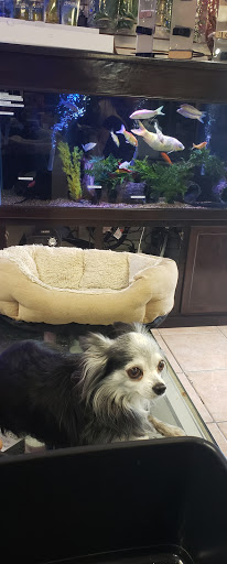 Pet Store «Aquarium Designs», reviews and photos, 15229 San Pedro Ave, San Antonio, TX 78232, USA