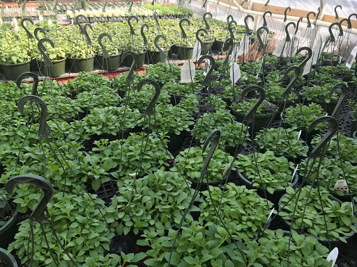 Garden Center «Lake Anna Nursery», reviews and photos, 71 Oak Grove Dr, Mineral, VA 23117, USA