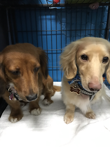 Pet Supply Store «Animal Kingdom of Santa Monica», reviews and photos, 300 Pico Blvd, Santa Monica, CA 90405, USA