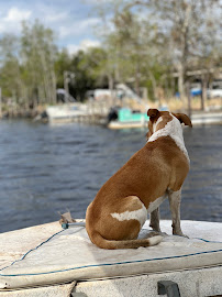 Louisiana Cypress Works - Photo 6 - Car repair in Mandeville, LA, Mandeville