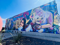 Wag Heaven Pet Supplies & Self-Serve Dog Wash - Photo 4 - Car repair in Georgetown, TX, Round Rock