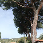 Photo n°8 de l'avis de Saverio.e fait le 12/04/2022 à 19:14 sur le  Hotel Villa Wanda à Lido di Capoliveri