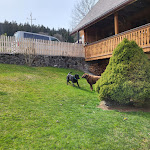 Photo n°6 de l'avis de Ina.. fait le 13/04/2023 à 15:30 sur le  Gasthaus Zum Engel à Hinterzarten