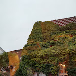 Photo n°2 de l'avis de Daniel.a fait le 04/07/2020 à 21:07 sur le  Portrait Galerie à Wangerland