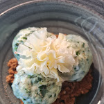 Photo n°2 de l'avis de Karine.i fait le 30/06/2022 à 14:53 sur le  Osteria Enoteca San Guido à Bolgheri