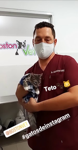 BOSTON VET - photo 1