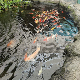 Underwater World Pattaya