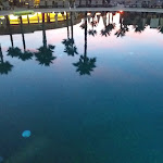 Photo n°1 de l'avis de Steve.e fait le 05/10/2017 à 17:30 sur le  NAU Salgados Palm Village - All Inclusive à Albufeira