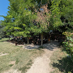 Photo n°1 de l'avis de Gianluca.e fait le 21/08/2023 à 08:23 sur le  Taverna Tipica Veneziana à Venice