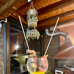 Photo n°2 de l'avis de Cecilia.u fait le 03/06/2023 à 23:43 sur le  Civita Vetere Vinum à Sessa Aurunca