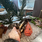 Photo n°3 de l'avis de Diletta.i fait le 04/12/2022 à 09:32 sur le  Da Paolo à Cagliari