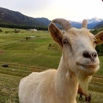 Photo n°2 de l'avis de Peter. fait le 12/11/2018 à 15:15 sur le  Villa Mayr à St Valentin auf der Haide