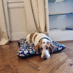 Photo n°2 de l'avis de federico.a fait le 30/04/2022 à 17:16 sur le  Hotel Brunelleschi à Florence