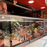 Photo n°1 de l'avis de Constantinos.v fait le 16/10/2022 à 12:37 sur le  Er Macellaio à Rome