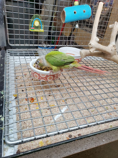 Pet Store «Pets World», reviews and photos, 147 Bridge St, Weymouth, MA 02191, USA