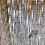 Photo n°1 de l'avis de salvo.n fait le 19/03/2023 à 16:40 sur le  Agriturismo La Fattoria di San Francesco à Pietraperzia