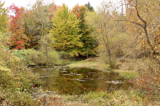 Nature Preserve «Reinstein Woods Nature Preserve», reviews and photos, 93 Honorine Dr, Depew, NY 14043, USA