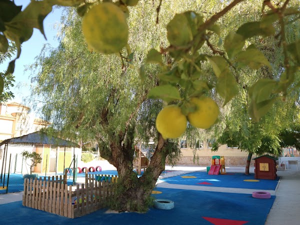 Imagen de Escuela Infantil Dinoschool (15 de 35)