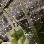 Photo n°1 de l'avis de Mariana.o fait le 24/01/2023 à 21:24 sur le  Pizzeria Cittadella Parma à Parma