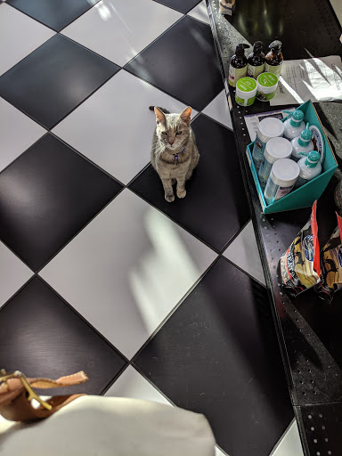 Pet Supply Store «Bark Avenue», reviews and photos, 4781 Granite Dr, Rocklin, CA 95677, USA