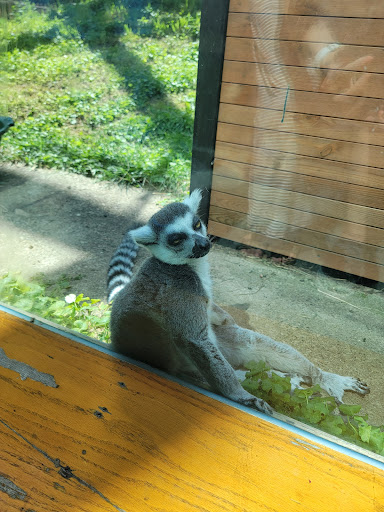 Zoo «Henry Vilas Zoo», reviews and photos, 702 S Randall Ave, Madison, WI 53715, USA