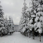 Photo n°3 de l'avis de Michael.a fait le 03/02/2019 à 18:23 sur le  Astenturm Hotel & Restaurant | Winterberg à Winterberg
