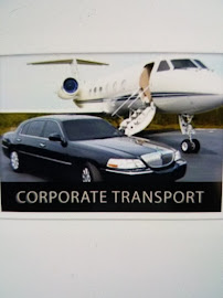 Modern-Limousine - Photo 1 - Car repair in , Thousand Oaks