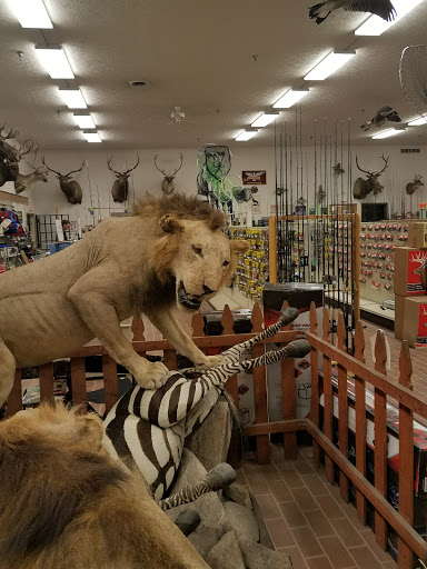 Sporting Goods Store «Ohio Outdoor Sports», reviews and photos, 2314 Shepler Church Ave SW, Canton, OH 44706, USA