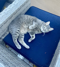 Silver Spring Sitting Service - Photo 4 - Car repair in , Washington