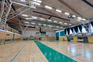 Športna dvorana Leona Štuklja image