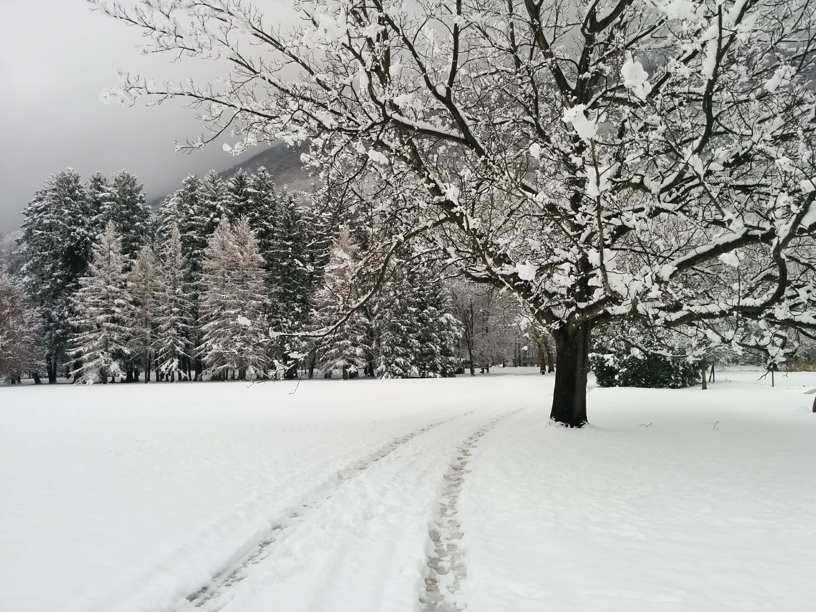 Photo n° 6 de l'avis de Denis.a fait le 01/12/2017 à 15:28