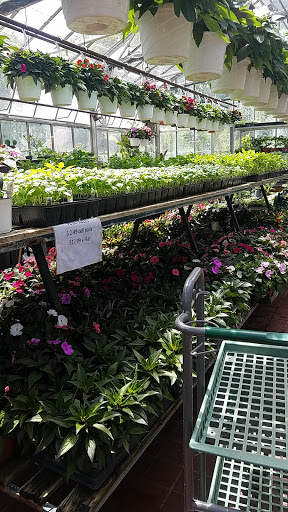 Garden Center «Westminster Nursery & Florist», reviews and photos, 30 Westminster Rd, West Hempstead, NY 11552, USA