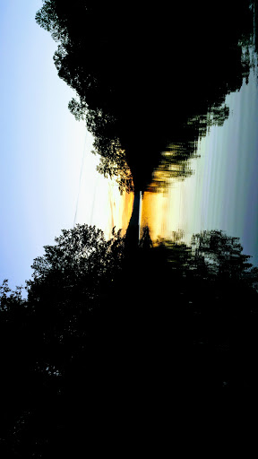 National Forest «Tuskegee National Forest», reviews and photos, 125 National Forest Rd 949, Tuskegee, AL 36083, USA