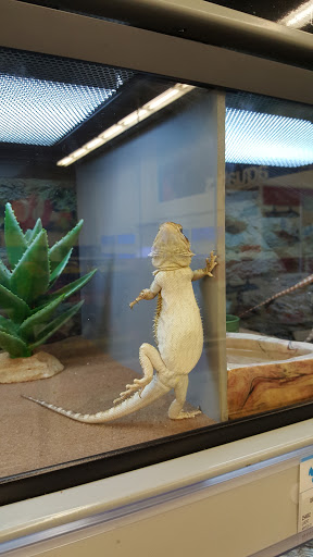 Pet Supply Store «Petco Animal Supplies», reviews and photos, 859 Kings Creek Dr, Tupelo, MS 38804, USA