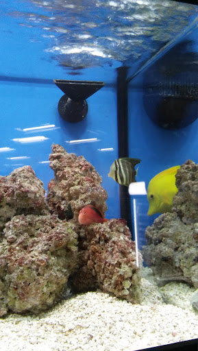 Pet Supply Store «Petco Animal Supplies», reviews and photos, 1500 N Town E Blvd, Mesquite, TX 75150, USA