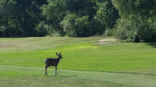 Golf Course «Admiral Baker Golf Course», reviews and photos, 2400 Admiral Baker Rd #3604, San Diego, CA 92124, USA